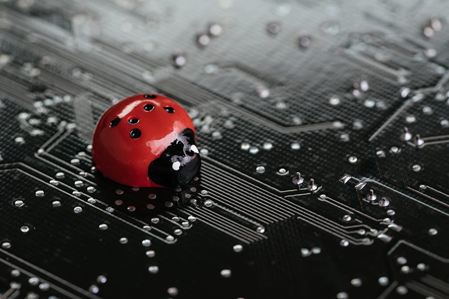 ladybug on a circuit board