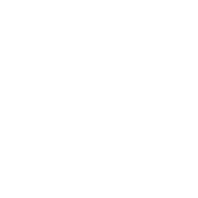e-commerce website icon